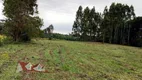 Foto 10 de Fazenda/Sítio com 1 Quarto à venda, 73610m² em Campo Largo da Roseira, São José dos Pinhais