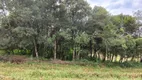 Foto 20 de Lote/Terreno à venda, 5000m² em Vila Delurdes, Campo Largo