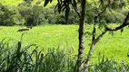 Foto 13 de Fazenda/Sítio com 4 Quartos à venda, 1000000m² em Zona Rural, Paraisópolis