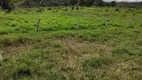 Foto 5 de Fazenda/Sítio com 4 Quartos à venda, 250m² em Zona Rural, Novo São Joaquim