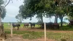 Foto 40 de Fazenda/Sítio com 3 Quartos à venda, 3700m² em , Jangada