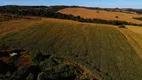 Foto 9 de Fazenda/Sítio à venda em Area Rural de Anapolis, Anápolis