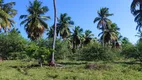 Foto 10 de Fazenda/Sítio com 3 Quartos à venda, 212000m² em Zona Rural, Touros