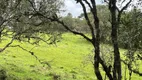 Foto 5 de Fazenda/Sítio à venda, 20000m² em Vacas Gordas, Urubici