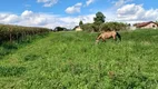 Foto 3 de Fazenda/Sítio com 1 Quarto à venda, 7800m² em Campo Largo da Roseira, São José dos Pinhais