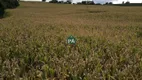 Foto 5 de Fazenda/Sítio com 1 Quarto à venda, 480000m² em , Bandeira do Sul