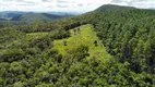 Foto 4 de Fazenda/Sítio com 2 Quartos à venda, 300000m² em Queimada Grande, Rancho Queimado