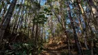 Foto 6 de Lote/Terreno à venda, 19888m² em Ribeirão da Ilha, Florianópolis