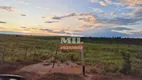 Foto 20 de Fazenda/Sítio à venda, 3000m² em Zona Rural, Chapadão do Céu