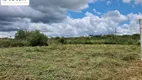 Foto 7 de Fazenda/Sítio à venda, 20000m² em Colônia Murici, São José dos Pinhais