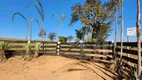 Foto 68 de Fazenda/Sítio com 3 Quartos à venda, 192000m² em Centro, Hidrolândia