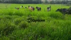 Foto 6 de Fazenda/Sítio com 4 Quartos à venda, 500m² em Centro, Entre Rios de Minas