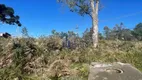 Foto 6 de Lote/Terreno à venda, 1826m² em Centenário, Caxias do Sul