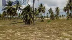 Foto 8 de Lote/Terreno com 1 Quarto à venda, 380000m² em Mangue Seco, Jandaíra