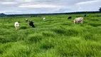 Foto 2 de Fazenda/Sítio com 3 Quartos à venda, 217m² em Zona Rural, Macedônia