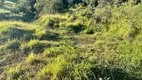 Foto 10 de Fazenda/Sítio com 2 Quartos à venda, 160000m² em Zona Rural, Jacutinga