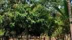 Foto 9 de Fazenda/Sítio com 2 Quartos à venda, 2000m² em Parque das Nações, Aparecida de Goiânia