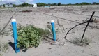 Foto 11 de Fazenda/Sítio com 3 Quartos à venda, 70000m² em Centro, Ceará Mirim