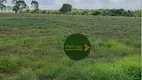 Foto 2 de Fazenda/Sítio à venda, 8228000m² em Zona Rural, Jussara