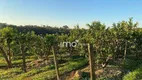 Foto 17 de Fazenda/Sítio com 3 Quartos à venda, 26455m² em Reforma Agraria, Valinhos