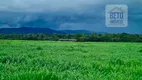 Foto 8 de Fazenda/Sítio à venda, 19360000m² em Zona Rural, Vila Rica