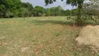 Foto 8 de Fazenda/Sítio com 2 Quartos à venda, 490000m² em Area Rural de Novo Gama, Novo Gama