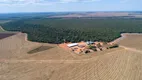 Foto 3 de Fazenda/Sítio à venda, 2900m² em Zona Rural, Campo Novo do Parecis