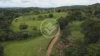 Foto 11 de Fazenda/Sítio à venda, 45m² em Zona Rural, São Luíz do Norte
