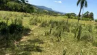 Foto 4 de Fazenda/Sítio com 1 Quarto à venda, 30000m² em , Faxinal