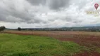 Foto 2 de Lote/Terreno à venda, 291m² em Aurora do Iguacu, São Miguel do Iguaçu