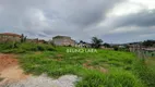 Foto 11 de Lote/Terreno à venda, 360m² em Novo Igarapé, Igarapé