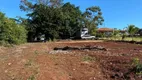 Foto 22 de Fazenda/Sítio com 3 Quartos à venda, 3148m² em , Sertanópolis