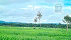 Foto 10 de Fazenda/Sítio à venda, 19360000m² em Zona Rural, Vila Rica