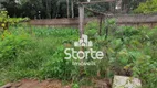 Foto 16 de Fazenda/Sítio à venda, 534m² em Mansões Aeroporto, Uberlândia