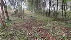 Foto 5 de Lote/Terreno para venda ou aluguel, 1250m² em , Itatiaiuçu