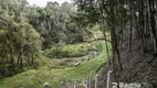 Foto 35 de Fazenda/Sítio com 3 Quartos à venda, 36300m² em Roça Velha, São José dos Pinhais