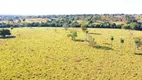 Foto 5 de Fazenda/Sítio à venda em Zona Rural, Santa Terezinha de Goiás