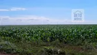 Foto 8 de Fazenda/Sítio à venda, 742640000m² em Zona Rural, Nova Ubiratã