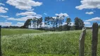 Foto 7 de Lote/Terreno à venda em Rural, Rio Rufino