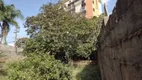 Foto 2 de Lote/Terreno à venda, 295m² em Jardim Paraíso, São Carlos