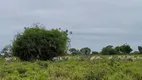 Foto 15 de Fazenda/Sítio à venda, 6135000m² em Zona Rural, Santo Antônio do Leverger