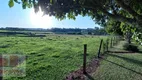 Foto 8 de Fazenda/Sítio com 4 Quartos à venda, 400m² em Aleluia, Cesário Lange