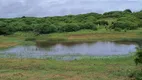 Foto 2 de Fazenda/Sítio com 3 Quartos à venda, 30000m² em Monte Alegre, Monte Alegre