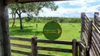 Foto 12 de Fazenda/Sítio com 3 Quartos à venda, 7405200m² em Zona Rural, Pontal do Araguaia