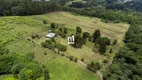 Foto 6 de Fazenda/Sítio com 5 Quartos à venda, 20000m² em Sao Gotardo, Flores da Cunha