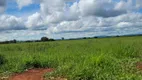 Foto 8 de Fazenda/Sítio com 5 Quartos à venda, 8m² em , Taquaral de Goiás