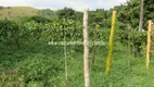 Foto 10 de Fazenda/Sítio com 5 Quartos à venda, 380000m² em Japuíba, Cachoeiras de Macacu