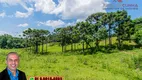 Foto 22 de Fazenda/Sítio à venda, 70000m² em Serra grande Morro Agudo, Gramado