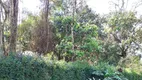 Foto 5 de Lote/Terreno à venda, 4852m² em Jardim Pioneiro , Cotia
