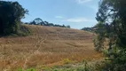 Foto 28 de Fazenda/Sítio à venda, 95685m² em Campo Novo, Campo Magro